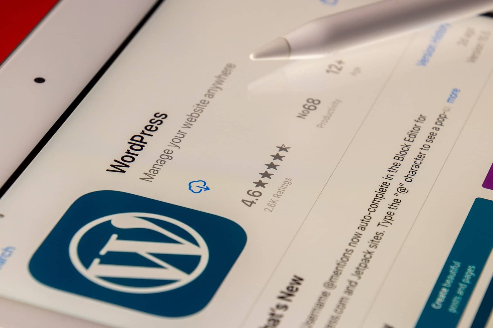 Why Should I Use WordPress?